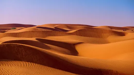 ADGM's ESG Disclosure Reporting explained!